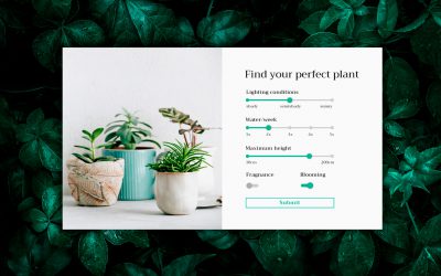 Calculator design for plant webshop – VIDEO