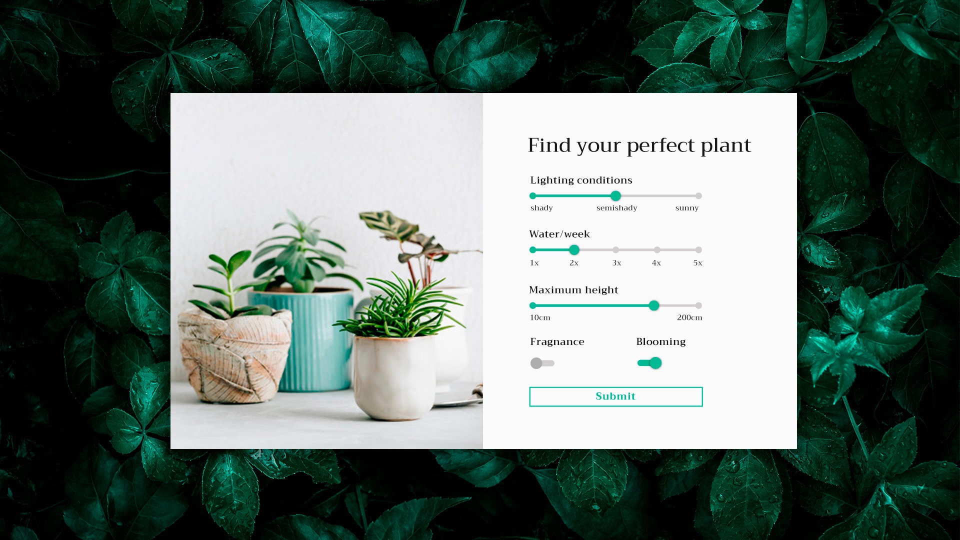 ticket Supermarkt Tot ziens Calculator design for plant webshop – VIDEO | graphisma design