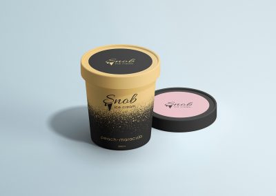 Logo design and branding for ice cream products